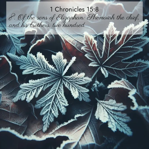 BasicEnglish 1 Chronicles  ; image nature: image with the bible verse :Of the sons of Elizaphan: Shemaiah the chief, and his brothers, two hundred; ; Explore a collection of Bible verses paired with springtime scenes, featuring blooming flowers, lush meadows, and trees in full bloom. These images symbolize divine renewal and hope. Download inspiring verses like KJV 1 Chronicles 15:8. Current verse is overlayed with the thematic nature scene : Winter frost creates delicate patterns on fallen leaves. ; 15:8