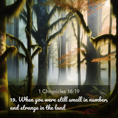 BasicEnglish 1 Chronicles  ; image nature: image with the bible verse :When you were still small in number, and strange in the land; ; Explore an inspiring selection of Bible verse images adorned with nature photos, such as starry skies, verdant hills, and golden beaches. Each image reflects the peace and beauty of God&#039;s creation with vibrant colors and varied fonts. Share uplifting verses like KJV 1 Chronicles 16:19. Current verse is overlayed with the thematic nature scene : Autumn fog shrouds an old-growth forest draped in moss and lichen. ; 16:19