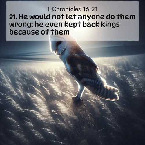 BasicEnglish 1 Chronicles  ; image nature: image with the bible verse :He would not let anyone do them wrong; he even kept back kings because of them, ; Discover a gallery of Bible verse images showcasing the beauty of autumn, with golden leaves, red forests, and peaceful fields bathed in soft light. These soothing scenes are perfect for accompanying inspiring verses like KJV 1 Chronicles 16:21. Current verse is overlayed with the thematic nature scene : A barn owl quarters silent fields. Moonlight turns meadow grass to silver. ; 16:21