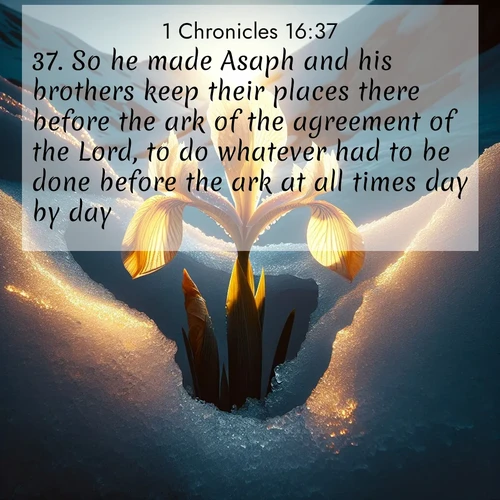 BasicEnglish 1 Chronicles  ; image nature: image with the bible verse :So he made Asaph and his brothers keep their places there before the ark of the agreement of the Lord, to do whatever had to be done before the ark at all times day by day: ; Explore a collection of Bible verses paired with springtime scenes, featuring blooming flowers, lush meadows, and trees in full bloom. These images symbolize divine renewal and hope. Download inspiring verses like KJV 1 Chronicles 16:37. Current verse is overlayed with the thematic nature scene : Wild iris breaks through melting snow. Alpine light ignites its petals. ; 16:37