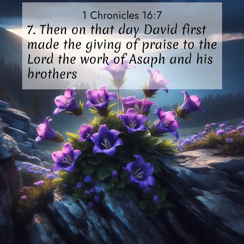 BasicEnglish 1 Chronicles  ; image nature: image with the bible verse :Then on that day David first made the giving of praise to the Lord the work of Asaph and his brothers. ; Download Bible verse images featuring vibrant photos of nature, from snowy landscapes to golden deserts. These free images are perfect for phone wallpapers, desktop backgrounds, or sharing. Verses include KJV 1 Chronicles 16:7. Current verse is overlayed with the thematic nature scene : Wild gentians bloom in rocky cracks. Summer storms gather above treeline. ; 16:7