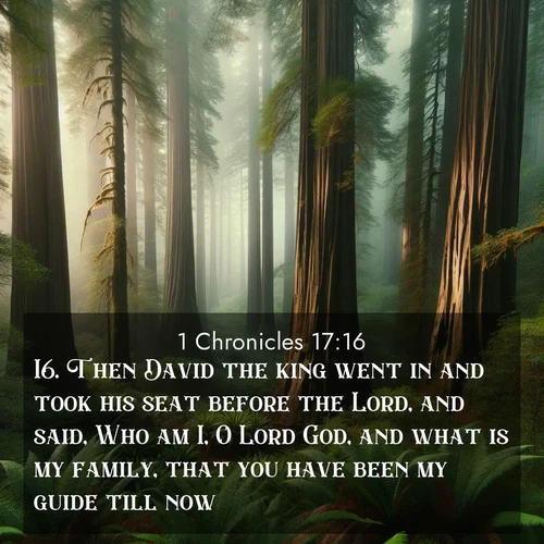 BasicEnglish 1 Chronicles  ; image nature: image with the bible verse :Then David the king went in and took his seat before the Lord, and said, Who am I, O Lord God, and what is my family, that you have been my guide till now? ; Dive into a gallery of Bible verses illustrated by tropical beach scenes, featuring sparkling waves, seashells, and radiant sunrises. These images evoke divine peace and joy. Download and share inspiring verses like KJV 1 Chronicles 17:16. Current verse is overlayed with the thematic nature scene : Coastal redwoods disappear into the fog high above a fern grove. ; 17:16
