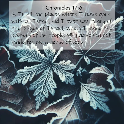 BasicEnglish 1 Chronicles  ; image nature: image with the bible verse :In all the places where I have gone with all Israel, did I ever say to any of the judges of Israel, whom I made the keepers of my people, Why have you not made for me a house of cedar? ; Admire Bible verse images illustrated by desert scenes, such as sunsets over dunes, majestic rocks, and solitary cacti. These images capture the majesty of God in arid places. Download and share verses like KJV 1 Chronicles 17:6. Current verse is overlayed with the thematic nature scene : Winter frost creates delicate patterns on fallen leaves. ; 17:6