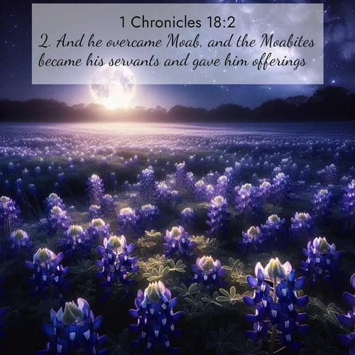 BasicEnglish 1 Chronicles  ; image nature: image with the bible verse :And he overcame Moab, and the Moabites became his servants and gave him offerings. ; Admire our gallery of Bible verse images paired with serene nature photography, featuring starlit skies, golden sands, and blooming wildflowers. Download and share verses like KJV 1 Chronicles 18:2. Current verse is overlayed with the thematic nature scene : Moonlight illuminates a field of bluebonnets. A warm breeze carries their sweet fragrance across the prairie. ; 18:2
