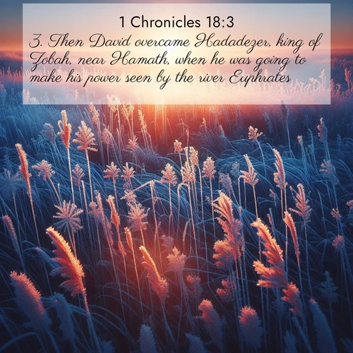 BasicEnglish 1 Chronicles  ; image nature: image with the bible verse :Then David overcame Hadadezer, king of Zobah, near Hamath, when he was going to make his power seen by the river Euphrates. ; Discover beautiful Bible verse images enriched with natural landscapes, from serene beaches to cascading waterfalls. All images are free and ready to download. Share verses such as KJV 1 Chronicles 18:3. Current verse is overlayed with the thematic nature scene : Winter sunrise illuminates frost-covered prairie grass. ; 18:3