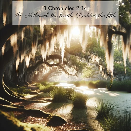 BBE 1 Chronicles 2:14 overlaying nature image scene: Summer afternoon light filters through Spanish moss in a bayou.;14. Nethanel, the fourth, Raddai, the fifth,