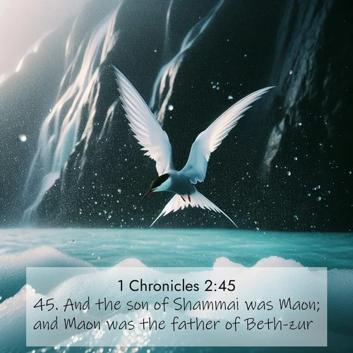 BBE 1 Chronicles 2:45 overlaying nature image scene: Arctic terns dive through sea spray above turquoise glacial meltwater. Their white wings flash silver against obsidian cliffs.;45. And the son of Shammai was Maon; and Maon was the father of Beth-zur.