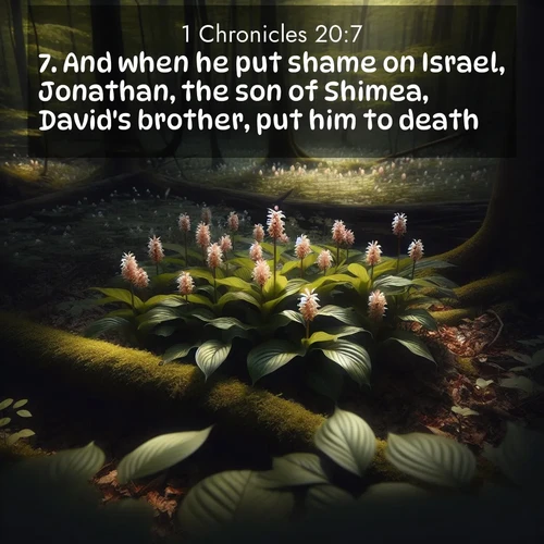 BasicEnglish 1 Chronicles  ; image nature: image with the bible verse :And when he put shame on Israel, Jonathan, the son of Shimea, David&#039;s brother, put him to death. ; Discover beautiful Bible verse images enriched with natural landscapes, from serene beaches to cascading waterfalls. All images are free and ready to download. Share verses such as KJV 1 Chronicles 20:7. Current verse is overlayed with the thematic nature scene : Wild ginger blooms hidden in forest shadows. Filtered sunlight reveals their secret beauty. ; 20:7