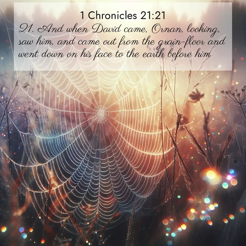 BasicEnglish 1 Chronicles  ; image nature: image with the bible verse :And when David came, Ornan, looking, saw him, and came out from the grain-floor and went down on his face to the earth before him. ; Dive into our collection of Bible verse images combined with sublime nature photos, such as graceful waterfalls, radiant sunsets, and endless meadows. These compositions highlight the peace and harmony of God&#039;s creation with vivid colors and carefully integrated text. Download and share verses like KJV 1 Chronicles 21:21. Current verse is overlayed with the thematic nature scene : Morning fog reveals spider web galaxies. Dew drops catch rainbow light. ; 21:21