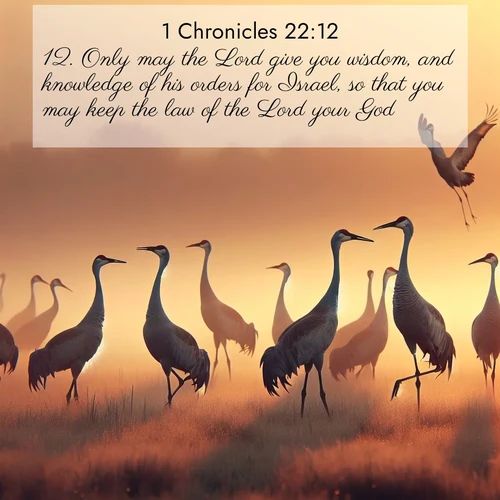BasicEnglish 1 Chronicles  ; image nature: image with the bible verse :Only may the Lord give you wisdom, and knowledge of his orders for Israel, so that you may keep the law of the Lord your God. ; Discover a rich selection of Bible verse images illustrated by natural landscapes like tranquil beaches, golden fields, and majestic trees. These images aim to capture the peace and beauty of God&#039;s creation, with vibrant colors and varied typography. Download and share inspiring verses like KJV 1 Chronicles 22:12. Current verse is overlayed with the thematic nature scene : Sandhill cranes dance in morning mist. Their calls echo across the marsh. ; 22:12