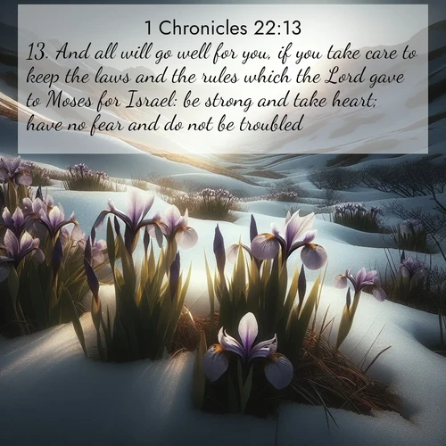 BasicEnglish 1 Chronicles  ; image nature: image with the bible verse :And all will go well for you, if you take care to keep the laws and the rules which the Lord gave to Moses for Israel: be strong and take heart; have no fear and do not be troubled. ; Explore winter-themed Bible verse images illustrated by snowy mountains, frost-covered branches, and clear skies. These landscapes reflect divine purity and peace. Download verses like KJV 1 Chronicles 22:13. Current verse is overlayed with the thematic nature scene : Wild irises pierce winter&#039;s last snow. Alpine light sets their petals ablaze. ; 22:13