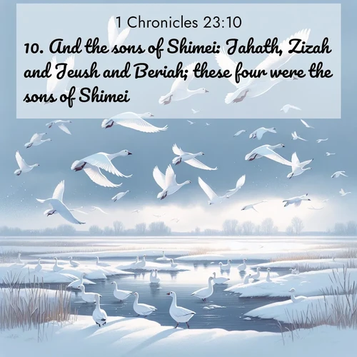 BasicEnglish 1 Chronicles  ; image nature: image with the bible verse :And the sons of Shimei: Jahath, Zizah and Jeush and Beriah; these four were the sons of Shimei. ; Admire our autumnal collection of Bible verse images accompanied by photos of paths lined with red and yellow leaves, fiery forests, and calm rivers. These images inspire reflection and serenity. Share verses like KJV 1 Chronicles 23:10. Current verse is overlayed with the thematic nature scene : Snow geese take flight from a winter marsh. Their wings flash white against leaden skies. ; 23:10