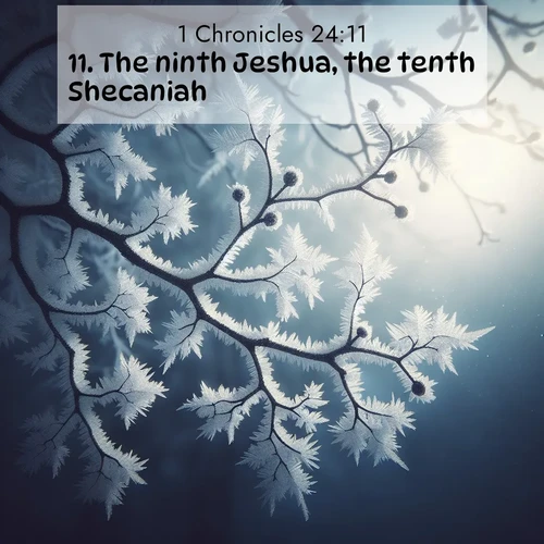 BasicEnglish 1 Chronicles  ; image nature: image with the bible verse :The ninth Jeshua, the tenth Shecaniah, ; Admire Bible verse images illustrated by summer photos, such as sunny beaches, sparkling waves, and swaying palm trees. These bright scenes highlight the joy and warmth of God&#039;s creation. Download and share verses like KJV 1 Chronicles 24:11. Current verse is overlayed with the thematic nature scene : Winter frost coats bare branches in delicate crystal. ; 24:11