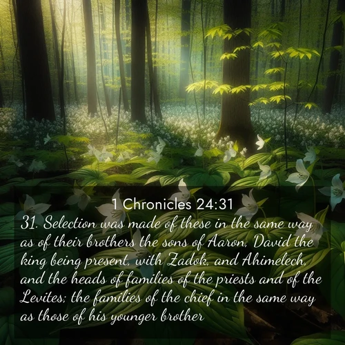 BasicEnglish 1 Chronicles  ; image nature: image with the bible verse :Selection was made of these in the same way as of their brothers the sons of Aaron, David the king being present, with Zadok, and Ahimelech, and the heads of families of the priests and of the Levites; the families of the chief in the same way as those of his younger brother. ; Discover Bible images illustrated by desert landscapes, like sand dunes, majestic rocks, and starry skies. These images symbolize the grandeur and immensity of God&#039;s creation. Download verses like KJV 1 Chronicles 24:31. Current verse is overlayed with the thematic nature scene : Wild trillium carpets the forest floor. Sunlight filters green through new spring leaves. ; 24:31