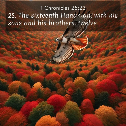 BasicEnglish 1 Chronicles  ; image nature: image with the bible verse :The sixteenth Hananiah, with his sons and his brothers, twelve; ; Discover Bible images capturing the splendor of deserts, with golden dunes, vast skies, and peaceful oases. These landscapes highlight the grandeur and serenity of God&#039;s creation. Share verses like KJV 1 Chronicles 25:23. Current verse is overlayed with the thematic nature scene : A red-tailed hawk circles above autumn woods. Leaves below form a mosaic of fire. ; 25:23