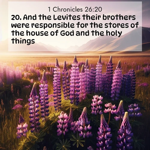 BasicEnglish 1 Chronicles  ; image nature: image with the bible verse :And the Levites their brothers were responsible for the stores of the house of God and the holy things. ; Dive into our collection of Bible verses paired with coastal scenes, featuring calming waves, infinite beaches, and reflections of the sun on the water. These images evoke the peace and beauty of God. Share verses like KJV 1 Chronicles 26:20. Current verse is overlayed with the thematic nature scene : Wild lupines paint purple meadows. Snow lingers on distant peaks. ; 26:20