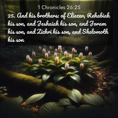 BasicEnglish 1 Chronicles  ; image nature: image with the bible verse :And his brothers: of Eliezer, Rehabiah his son, and Jeshaiah his son, and Joram his son, and Zichri his son, and Shelomoth his son. ; Explore winter-themed Bible verse images illustrated by snowy mountains, frost-covered branches, and clear skies. These landscapes reflect divine purity and peace. Download verses like KJV 1 Chronicles 26:25. Current verse is overlayed with the thematic nature scene : Wild ginger blooms hidden in forest shadows. Filtered sunlight reveals their secret beauty. ; 26:25