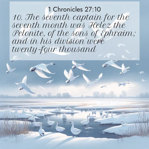 BasicEnglish 1 Chronicles  ; image nature: image with the bible verse :The seventh captain for the seventh month was Helez the Pelonite, of the sons of Ephraim; and in his division were twenty-four thousand. ; Explore a spring collection of Bible images, with landscapes of green hills, wildflowers, and crystal-clear streams. These images symbolize the blossoming of God&#039;s creation. Download verses like KJV 1 Chronicles 27:10. Current verse is overlayed with the thematic nature scene : Snow geese take flight from a winter marsh. Their wings flash white against leaden skies. ; 27:10