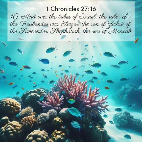BasicEnglish 1 Chronicles  ; image nature: image with the bible verse :And over the tribes of Israel: the ruler of the Reubenites was Eliezer, the son of Zichri; of the Simeonites, Shephatiah, the son of Maacah; ; Browse beautiful Bible verse images accompanied by peaceful scenes like calm seas, ancient forests, and radiant horizons. Download high-quality, free images featuring verses such as KJV 1 Chronicles 27:16. Current verse is overlayed with the thematic nature scene : Tropical fish dart through coral reefs in crystal-clear waters. ; 27:16