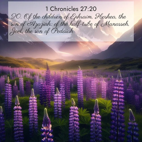 BasicEnglish 1 Chronicles  ; image nature: image with the bible verse :Of the children of Ephraim, Hoshea, the son of Azaziah; of the half-tribe of Manasseh, Joel, the son of Pedaiah; ; Admire Bible verse images illustrated by summer photos, such as sunny beaches, sparkling waves, and swaying palm trees. These bright scenes highlight the joy and warmth of God&#039;s creation. Download and share verses like KJV 1 Chronicles 27:20. Current verse is overlayed with the thematic nature scene : Wild lupines paint mountain meadows purple. Snow lingers on distant peaks. ; 27:20
