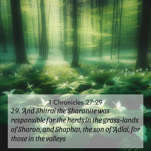 BasicEnglish 1 Chronicles  ; image nature: image with the bible verse :And Shitrai the Sharonite was responsible for the herds in the grass-lands of Sharon, and Shaphat, the son of Adlai, for those in the valleys; ; Discover Bible images capturing the splendor of deserts, with golden dunes, vast skies, and peaceful oases. These landscapes highlight the grandeur and serenity of God&#039;s creation. Share verses like KJV 1 Chronicles 27:29. Current verse is overlayed with the thematic nature scene : Wild trillium dots the forest floor. Green light filters through spring leaves. ; 27:29
