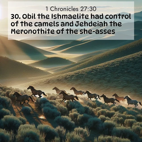BasicEnglish 1 Chronicles  ; image nature: image with the bible verse :Obil the Ishmaelite had control of the camels and Jehdeiah the Meronothite of the she-asses; ; Access a vast collection of Bible verse images illustrated with natural landscapes like calm rivers, blooming fields, and bright horizons. These images emphasize the serenity and splendor of God&#039;s creation, accompanied by aesthetic fonts and joyful colors. Download verses like KJV 1 Chronicles 27:30 and share them. Current verse is overlayed with the thematic nature scene : Wild mustangs gallop across sage-covered hills in the morning light. ; 27:30