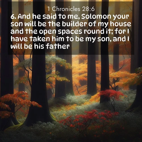 BasicEnglish 1 Chronicles  ; image nature: image with the bible verse :And he said to me, Solomon your son will be the builder of my house and the open spaces round it; for I have taken him to be my son, and I will be his father. ; Admire Bible verse images illustrated by summer photos, such as sunny beaches, sparkling waves, and swaying palm trees. These bright scenes highlight the joy and warmth of God&#039;s creation. Download and share verses like KJV 1 Chronicles 28:6. Current verse is overlayed with the thematic nature scene : Autumn rain darkens tree trunks in the forest. ; 28:6