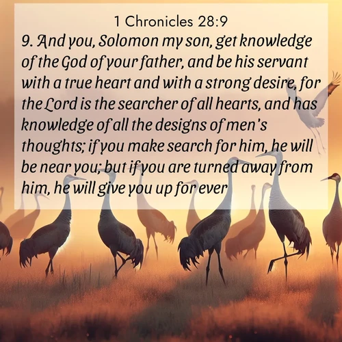 BasicEnglish 1 Chronicles  ; image nature: image with the bible verse :And you, Solomon my son, get knowledge of the God of your father, and be his servant with a true heart and with a strong desire, for the Lord is the searcher of all hearts, and has knowledge of all the designs of men&#039;s thoughts; if you make search for him, he will be near you; but if you are turned away from him, he will give you up for ever. ; Admire Bible images representing autumn, with swirling leaves, misty skies, and vibrant trees. These images inspire profound spiritual reflection. Download and share verses like KJV 1 Chronicles 28:9. Current verse is overlayed with the thematic nature scene : Sandhill cranes dance in morning mist. Their calls echo across the marsh. ; 28:9