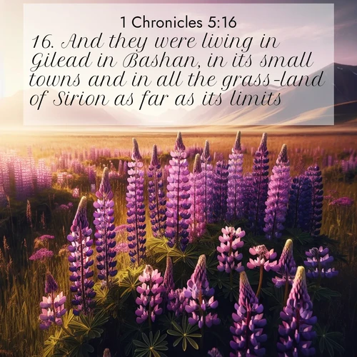 BasicEnglish 1 Chronicles  ; image nature: image with the bible verse :And they were living in Gilead in Bashan, in its small towns and in all the grass-land of Sirion as far as its limits. ; Dive into our collection of Bible verse images combined with sublime nature photos, such as graceful waterfalls, radiant sunsets, and endless meadows. These compositions highlight the peace and harmony of God&#039;s creation with vivid colors and carefully integrated text. Download and share verses like KJV 1 Chronicles 5:16. Current verse is overlayed with the thematic nature scene : Wild lupines paint purple meadows. Snow lingers on distant peaks. ; 5:16