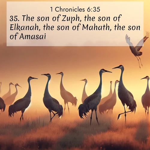 BasicEnglish 1 Chronicles  ; image nature: image with the bible verse :The son of Zuph, the son of Elkanah, the son of Mahath, the son of Amasai, ; Explore Bible verses paired with beach photos, where waves gently crash on the sand and the sky glows with pastel hues at sunset. These scenes convey deep serenity. Download verses like KJV 1 Chronicles 6:35. Current verse is overlayed with the thematic nature scene : Sandhill cranes dance in morning mist. Their calls echo across the marsh. ; 6:35