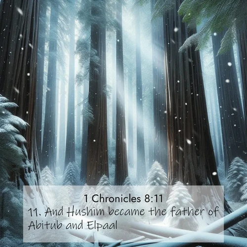 BasicEnglish 1 Chronicles  ; image nature: image with the bible verse :And Hushim became the father of Abitub and Elpaal. ; Admire Bible verse images illustrated by desert scenes, such as sunsets over dunes, majestic rocks, and solitary cacti. These images capture the majesty of God in arid places. Download and share verses like KJV 1 Chronicles 8:11. Current verse is overlayed with the thematic nature scene : Snow falls silently on ancient redwoods. Shafts of light pierce through to illuminate the forest floor. ; 8:11