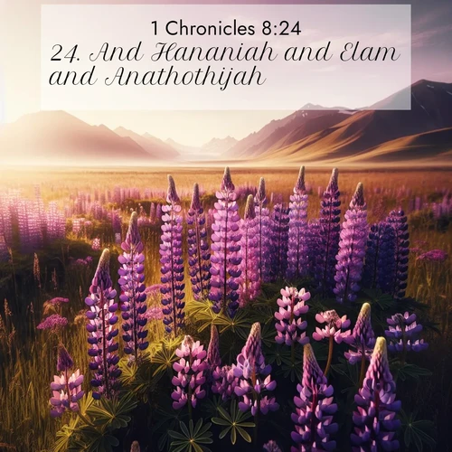 BasicEnglish 1 Chronicles  ; image nature: image with the bible verse :And Hananiah and Elam and Anathothijah ; Explore Bible verse images beautifully illustrated with spring scenes, such as blooming meadows, trees in full bloom, and tranquil streams. These landscapes convey divine hope and vitality. Download and share verses like KJV 1 Chronicles 8:24. Current verse is overlayed with the thematic nature scene : Wild lupines paint purple meadows. Snow lingers on distant peaks. ; 8:24