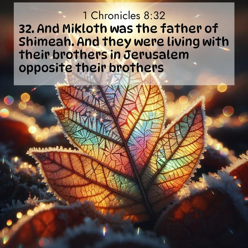 BasicEnglish 1 Chronicles  ; image nature: image with the bible verse :And Mikloth was the father of Shimeah. And they were living with their brothers in Jerusalem opposite their brothers. ; Dive into a gallery of Bible verses illustrated by tropical beach scenes, featuring sparkling waves, seashells, and radiant sunrises. These images evoke divine peace and joy. Download and share inspiring verses like KJV 1 Chronicles 8:32. Current verse is overlayed with the thematic nature scene : Frost crystals form intricate patterns on a fallen leaf. Morning sun transforms them into rainbow prisms. ; 8:32