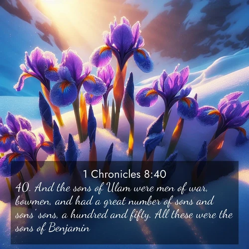 BasicEnglish 1 Chronicles  ; image nature: image with the bible verse :And the sons of Ulam were men of war, bowmen, and had a great number of sons and sons&#039; sons, a hundred and fifty. All these were the sons of Benjamin. ; Explore a rich collection of Bible verse images beautifully illustrated by natural landscapes, such as colorful skies, towering mountains, and tranquil rivers. The images highlight the serenity of God&#039;s creation with vivid tones and carefully chosen typography. Download and share inspiring verses like KJV 1 Chronicles 8:40. Current verse is overlayed with the thematic nature scene : Wild iris blooms pierce through melting snow. Alpine sunlight ignites their petals. ; 8:40