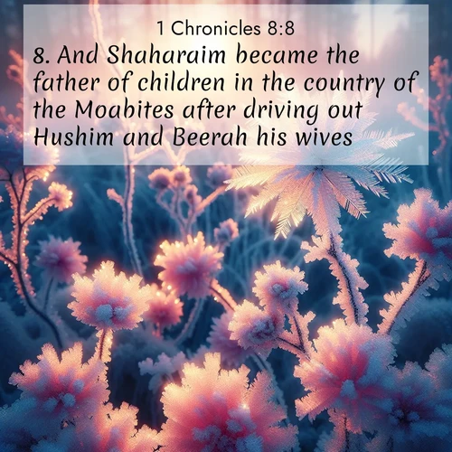 BasicEnglish 1 Chronicles  ; image nature: image with the bible verse :And Shaharaim became the father of children in the country of the Moabites after driving out Hushim and Beerah his wives; ; Admire Bible verse images capturing the beauty of beaches, with turquoise waters, palm trees, and peaceful shores. These soothing scenes reflect God&#039;s serenity and majesty. Download and share verses like KJV 1 Chronicles 8:8. Current verse is overlayed with the thematic nature scene : Morning light reveals frost flowers. Rainbow crystals bloom on bare branches. ; 8:8