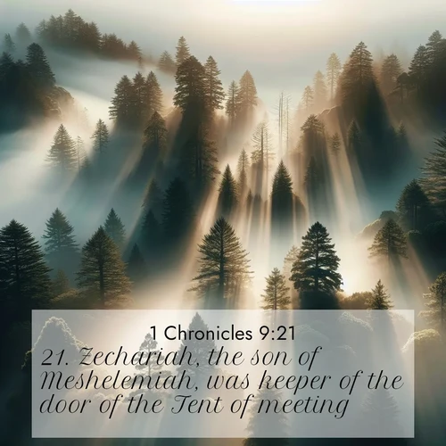 BasicEnglish 1 Chronicles  ; image nature: image with the bible verse :Zechariah, the son of Meshelemiah, was keeper of the door of the Tent of meeting. ; Explore our vast collection of images featuring beautifully illustrated Bible verses accompanied by nature photos. Discover inspiring and motivating verses paired with soothing landscapes, like shimmering lakes, majestic mountains, and lush forests. Our images highlight the peaceful beauty of God&#039;s creation with vibrant colors and varied fonts. Download and share verse images like KJV 1 Chronicles 9:21. Current verse is overlayed with the thematic nature scene : Coastal redwoods disappear into fog. Filtered sunlight creates divine rays. ; 9:21