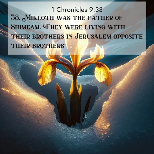 BasicEnglish 1 Chronicles  ; image nature: image with the bible verse :Mikloth was the father of Shimeam. They were living with their brothers in Jerusalem opposite their brothers. ; Explore a gallery of beautiful Bible verse images with tranquil natural settings—perfect for phone backgrounds or inspirational posts. Download your favorite verses like KJV 1 Chronicles 9:38 today. Current verse is overlayed with the thematic nature scene : Wild iris breaks through melting snow. Alpine light ignites its petals. ; 9:38
