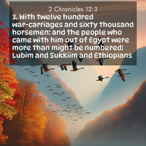 BBE 14 12:3