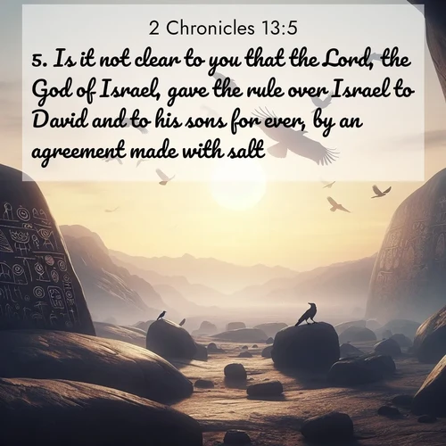BBE 2 Chronicles 13:5 overlaying nature image scene: Desert petroglyphs tell ancient stories. Ravens soar past wearing shadows for wings.;5. Is it not clear to you that the Lord, the God of Israel, gave the rule over Israel to David and to his sons for ever, by an agreement made with salt?