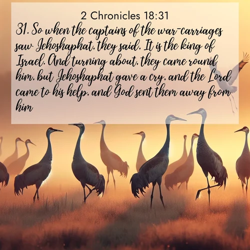BasicEnglish 2 Chronicles  ; image nature: image with the bible verse :So when the captains of the war-carriages saw Jehoshaphat, they said, It is the king of Israel. And turning about, they came round him, but Jehoshaphat gave a cry, and the Lord came to his help, and God sent them away from him. ; Browse a gallery of Bible verses paired with summer scenes, such as golden wheat fields, bright skies, and sunny beaches. These images convey the joy and warmth of God&#039;s creation. Download and share verses like KJV 2 Chronicles 18:31. Current verse is overlayed with the thematic nature scene : Sandhill cranes dance in morning mist. Their calls echo across the marsh. ; 18:31
