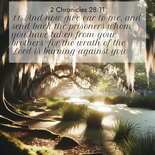 BBE 2 Chronicles 28:11 overlaying nature image scene: Summer afternoon light filters through Spanish moss in a bayou.;11. And now give ear to me, and send back the prisoners whom you have taken from your brothers: for the wrath of the Lord is burning against you.
