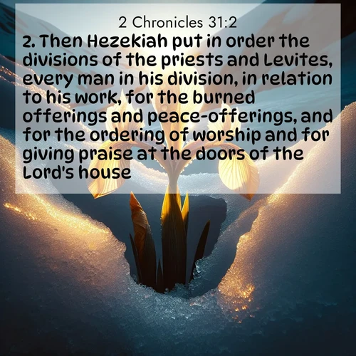 BasicEnglish 2 Chronicles  ; image nature: image with the bible verse :Then Hezekiah put in order the divisions of the priests and Levites, every man in his division, in relation to his work, for the burned offerings and peace-offerings, and for the ordering of worship and for giving praise at the doors of the Lord&#039;s house. ; Discover a unique collection of Bible verses adorned with winter landscapes, such as snow-covered forests, gently falling snowflakes, and pristine mountains. These images evoke the peace and purity of God&#039;s creation. Share verses like KJV 2 Chronicles 31:2. Current verse is overlayed with the thematic nature scene : Wild iris breaks through melting snow. Alpine light ignites its petals. ; 31:2