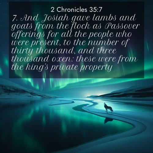 BBE 2 Chronicles 35:7 overlaying nature image scene: Northern lights dance across a frozen lake in ribbons of green and purple. A lone wolf howls from the distant shore.;7. And Josiah gave lambs and goats from the flock as Passover offerings for all the people who were present, to the number of thirty thousand, and three thousand oxen: these were from the king's private property.
