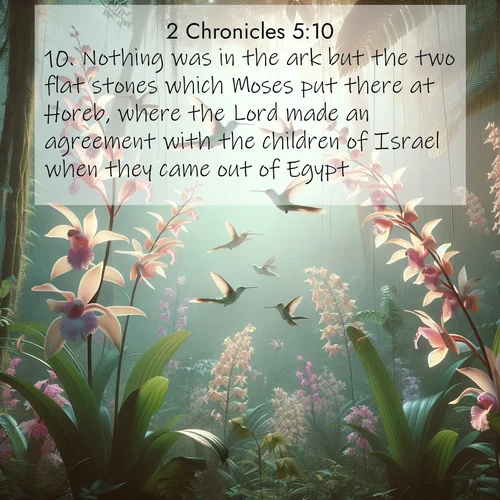 BasicEnglish 2 Chronicles  ; image nature: image with the bible verse :Nothing was in the ark but the two flat stones which Moses put there at Horeb, where the Lord made an agreement with the children of Israel when they came out of Egypt. ; Discover Bible images illustrated by desert landscapes, like sand dunes, majestic rocks, and starry skies. These images symbolize the grandeur and immensity of God&#039;s creation. Download verses like KJV 2 Chronicles 5:10. Current verse is overlayed with the thematic nature scene : Wild orchids bloom in rainforest canopy. Hummingbirds dance between delicate petals. ; 5:10