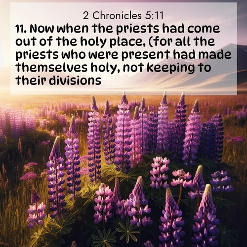 BasicEnglish 2 Chronicles  ; image nature: image with the bible verse :Now when the priests had come out of the holy place, (for all the priests who were present had made themselves holy, not keeping to their divisions; ; Browse high-resolution Bible verse images featuring stunning nature photography, such as radiant sunsets, tranquil rivers, and blooming fields. Perfect for wallpapers or sharing on social media. Download KJV 2 Chronicles 5:11. Current verse is overlayed with the thematic nature scene : Wild lupines paint purple meadows. Snow lingers on distant peaks. ; 5:11