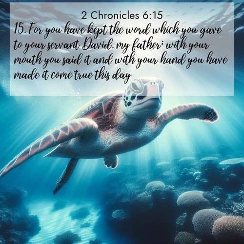BBE 2 Chronicles 6:15 overlaying nature image scene: A sea turtle glides through underwater sunbeams. Coral gardens glow in the depths below.;15. For you have kept the word which you gave to your servant David, my father; with your mouth you said it and with your hand you have made it come true this day.
