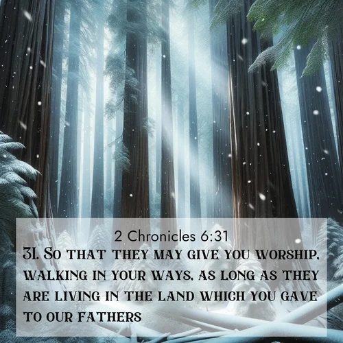 BBE 2 Chronicles 6:31 overlaying nature image scene: Snow falls silently on ancient redwoods. Shafts of light pierce through to illuminate the forest floor.;31. So that they may give you worship, walking in your ways, as long as they are living in the land which you gave to our fathers.
