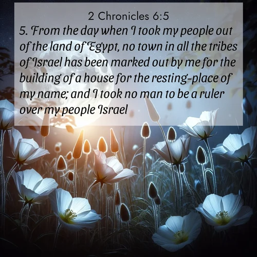 BBE 2 Chronicles 6:5 overlaying nature image scene: Moonflowers open to the rising full moon. Night insects hum in harmony.;5. From the day when I took my people out of the land of Egypt, no town in all the tribes of Israel has been marked out by me for the building of a house for the resting-place of my name; and I took no man to be a ruler over my people Israel;