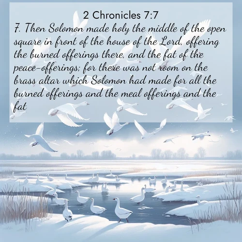 BBE 2 Chronicles 7:7 overlaying nature image scene: Snow geese take flight from a winter marsh. Their wings flash white against leaden skies.;7. Then Solomon made holy the middle of the open square in front of the house of the Lord, offering the burned offerings there, and the fat of the peace-offerings; for there was not room on the brass altar which Solomon had made for all the burned offerings and the meal offerings and the fat.