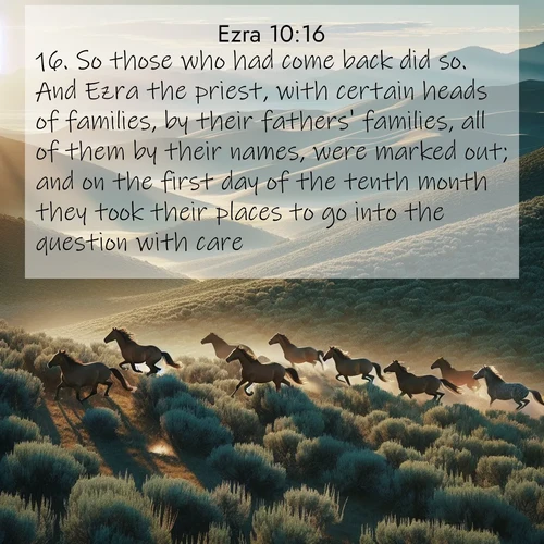 BasicEnglish Ezra  ; image nature: image with the bible verse :So those who had come back did so. And Ezra the priest, with certain heads of families, by their fathers&#039; families, all of them by their names, were marked out; and on the first day of the tenth month they took their places to go into the question with care. ; Discover Bible images adorned with spring landscapes, like tulip fields, cherry blossoms, and green hills. These bright scenes symbolize God&#039;s renewal and grace. Download verses like KJV Ezra 10:16. Current verse is overlayed with the thematic nature scene : Wild mustangs gallop across sage-covered hills in the morning light. ; 10:16